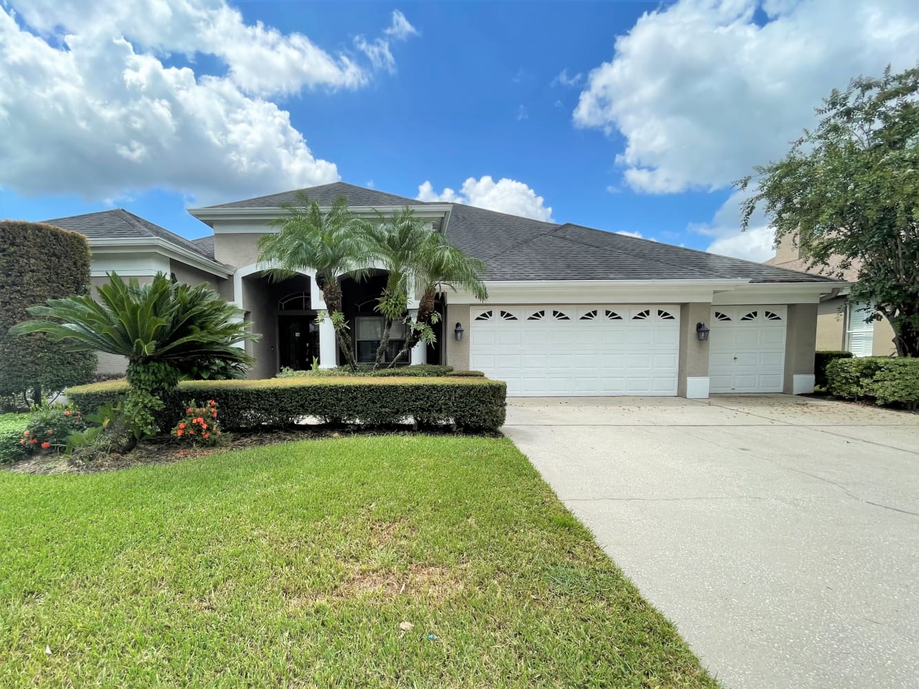 4610 Kilcoyne Ct, Lutz photo 1