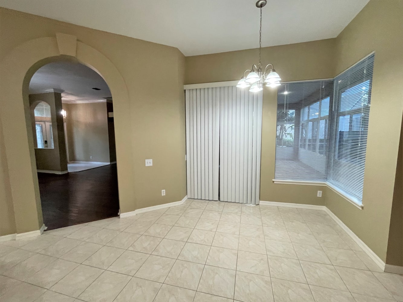 4610 Kilcoyne Ct, Lutz photo 6