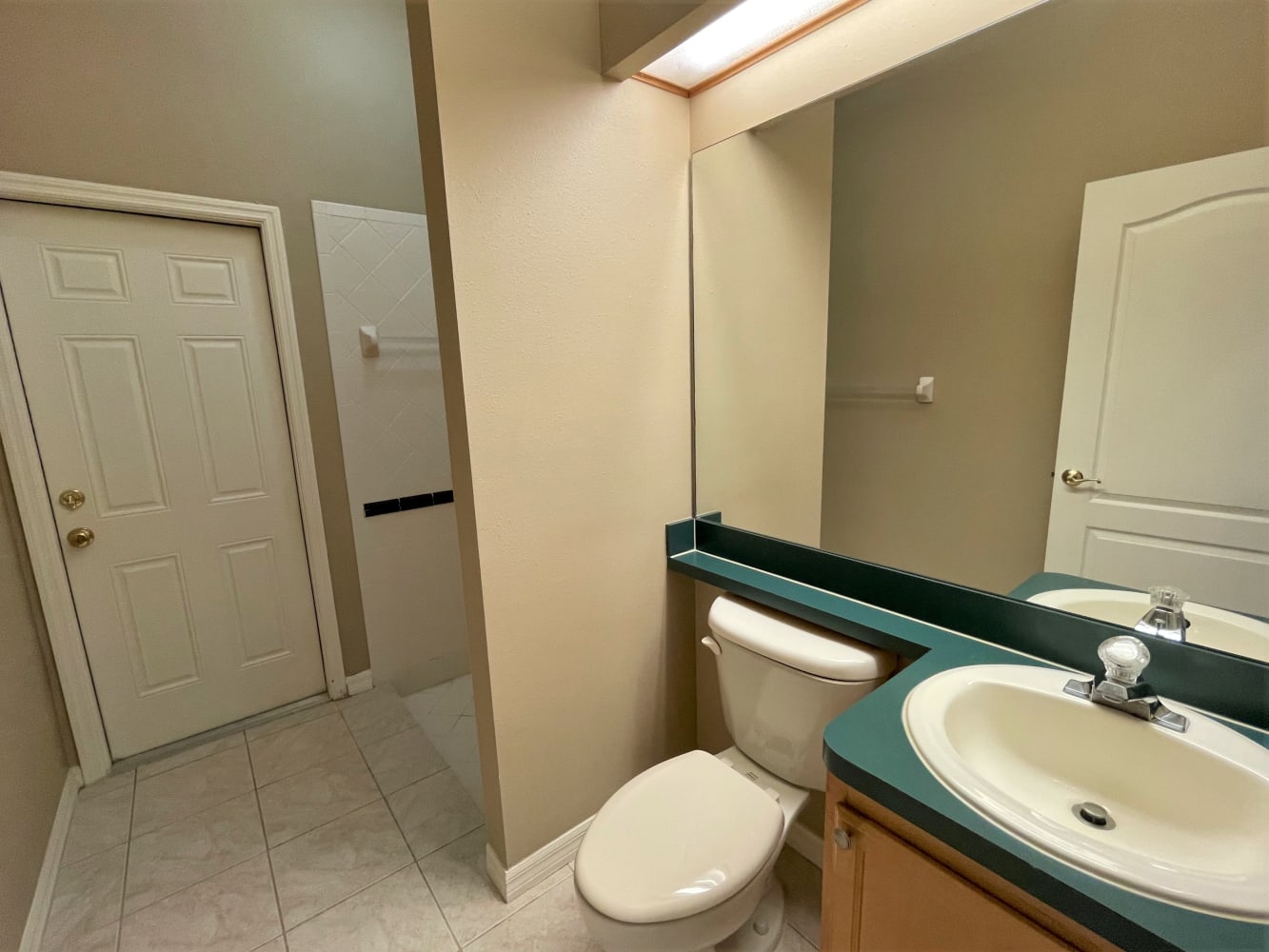 4610 Kilcoyne Ct, Lutz photo 16