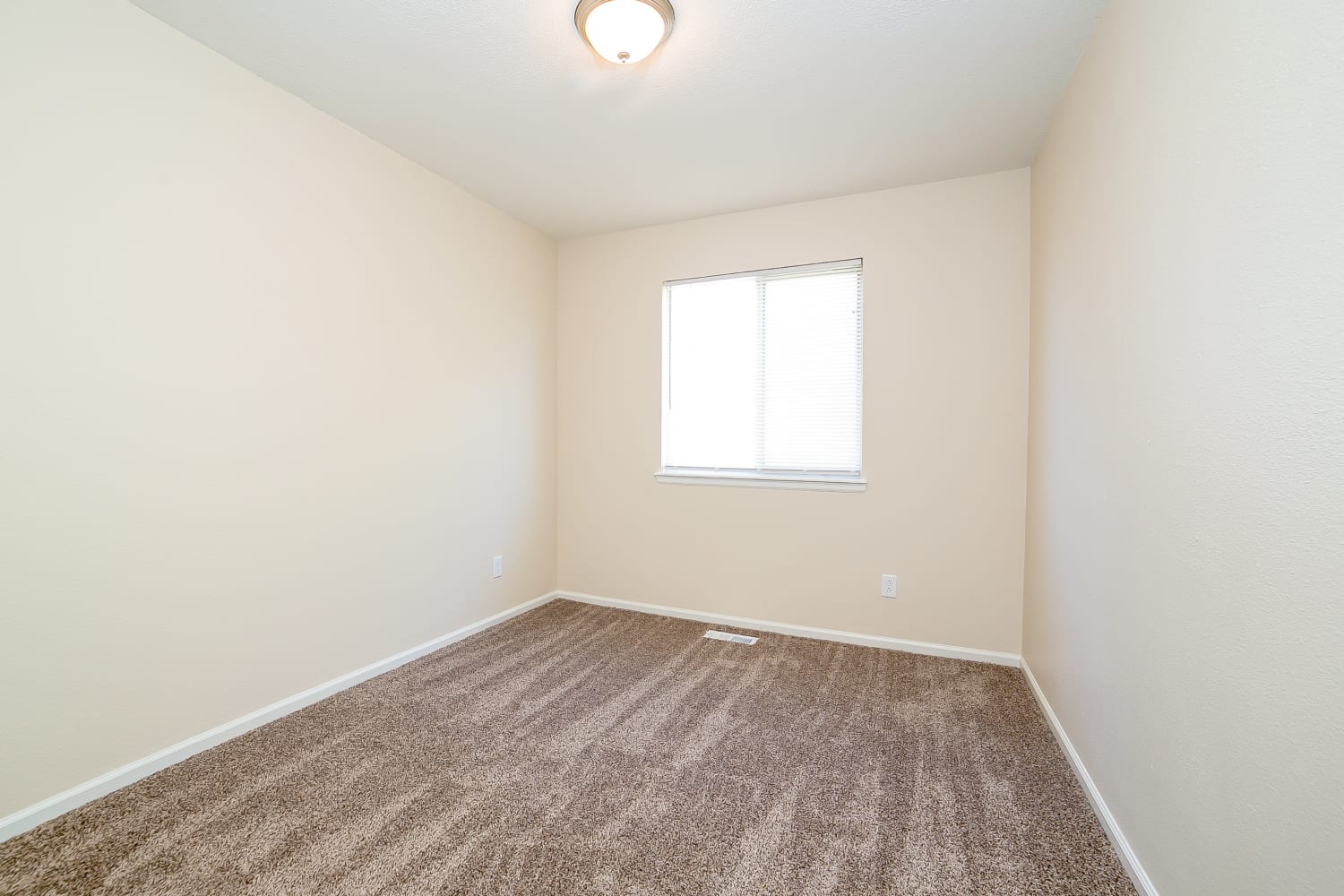 4617 N Foxtail Dr, Castle Rock photo 7