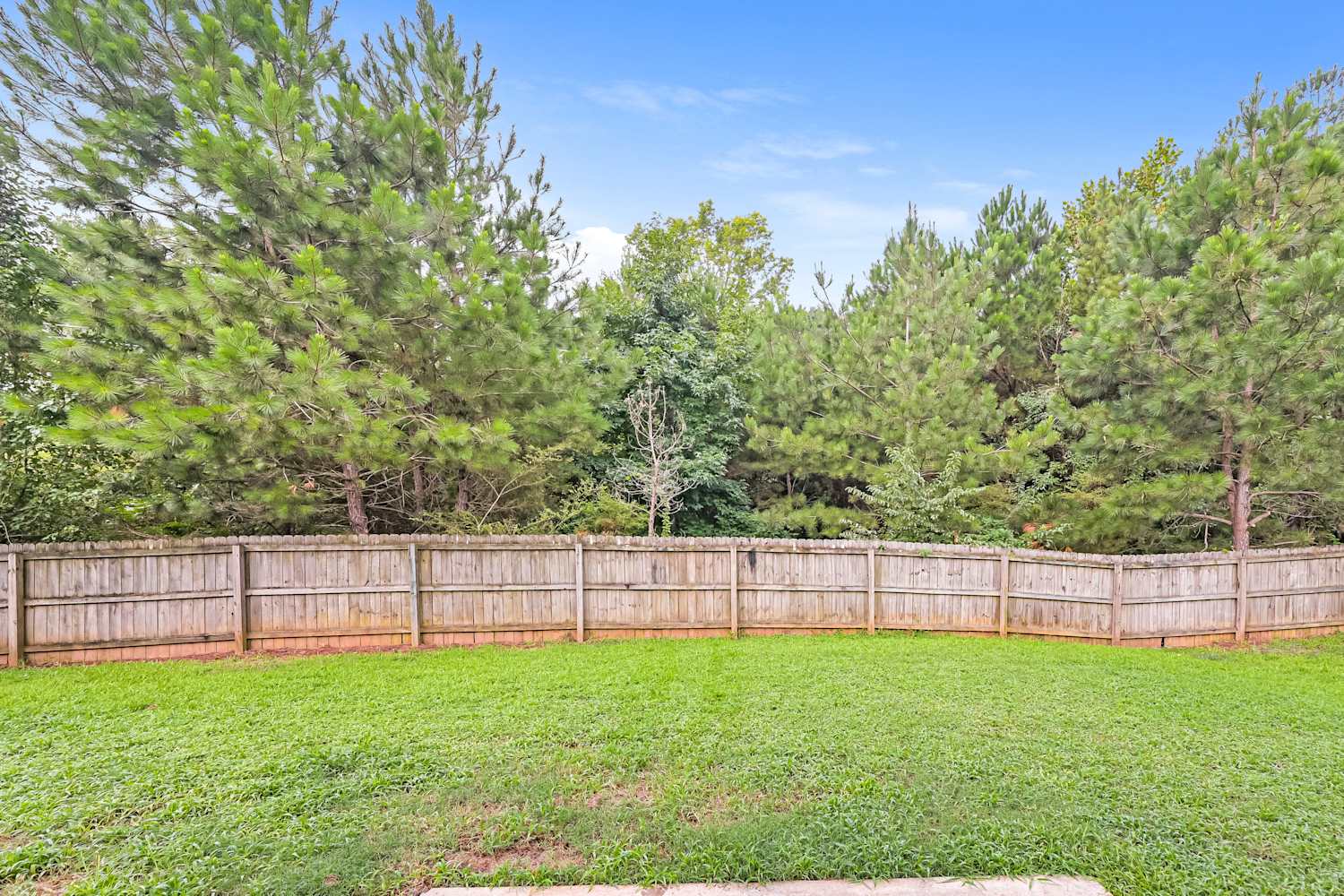 469 Village Broad St, Dacula photo 17
