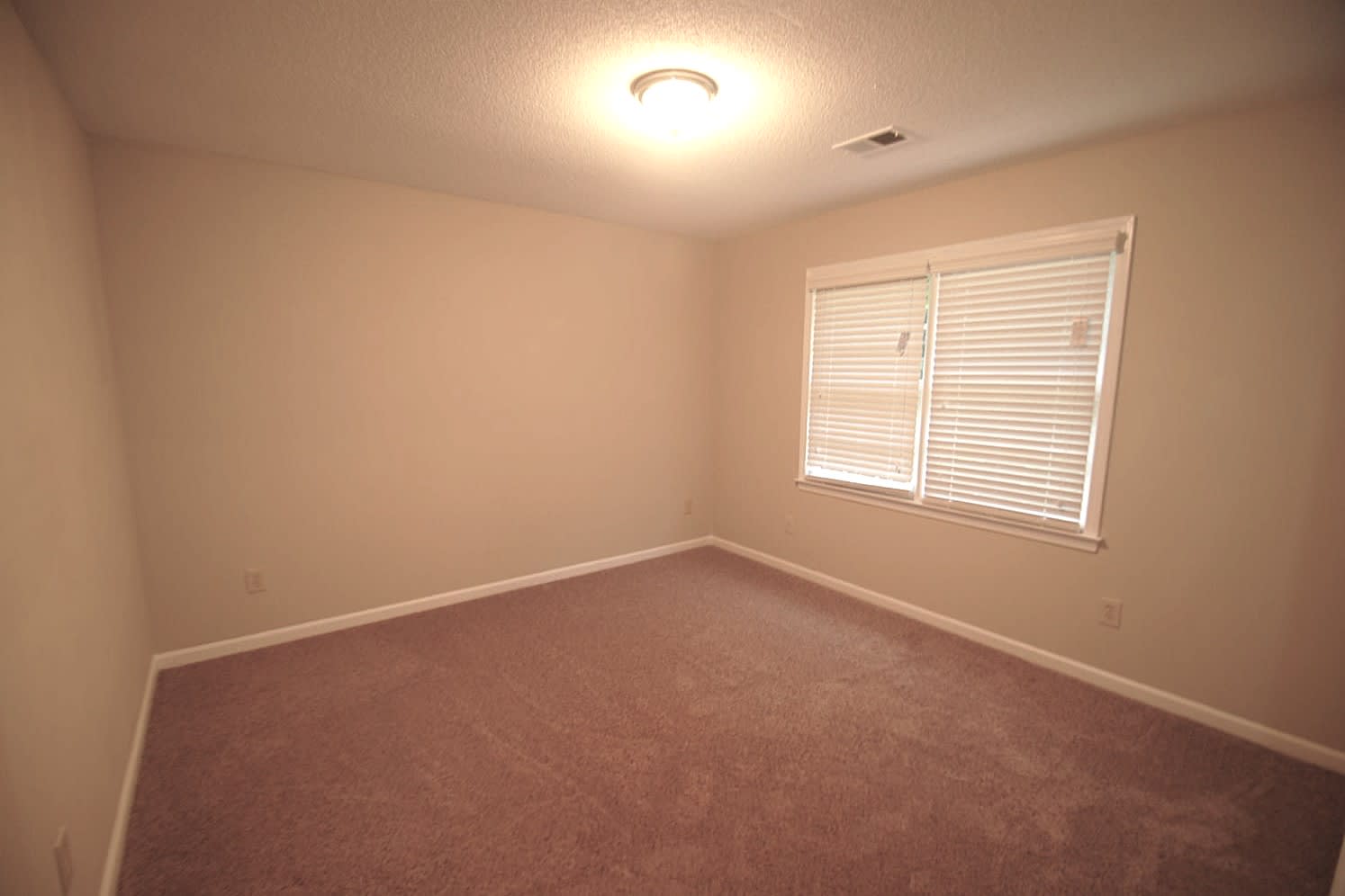 4830 Parkview Mine Dr, Sugar Hill photo 7