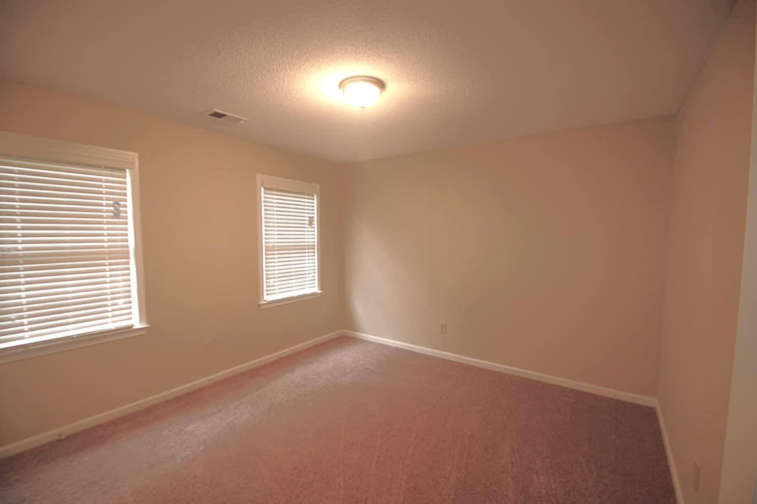 4830 Parkview Mine Dr, Sugar Hill photo 8