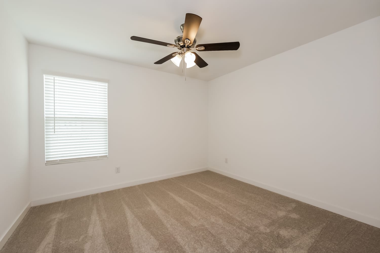 4909 Grey Fallow St, Fort Worth photo 15
