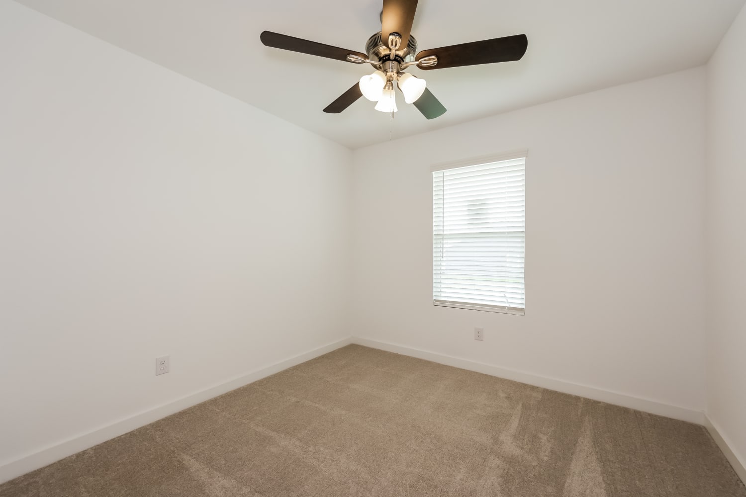 4909 Grey Fallow St, Fort Worth photo 14