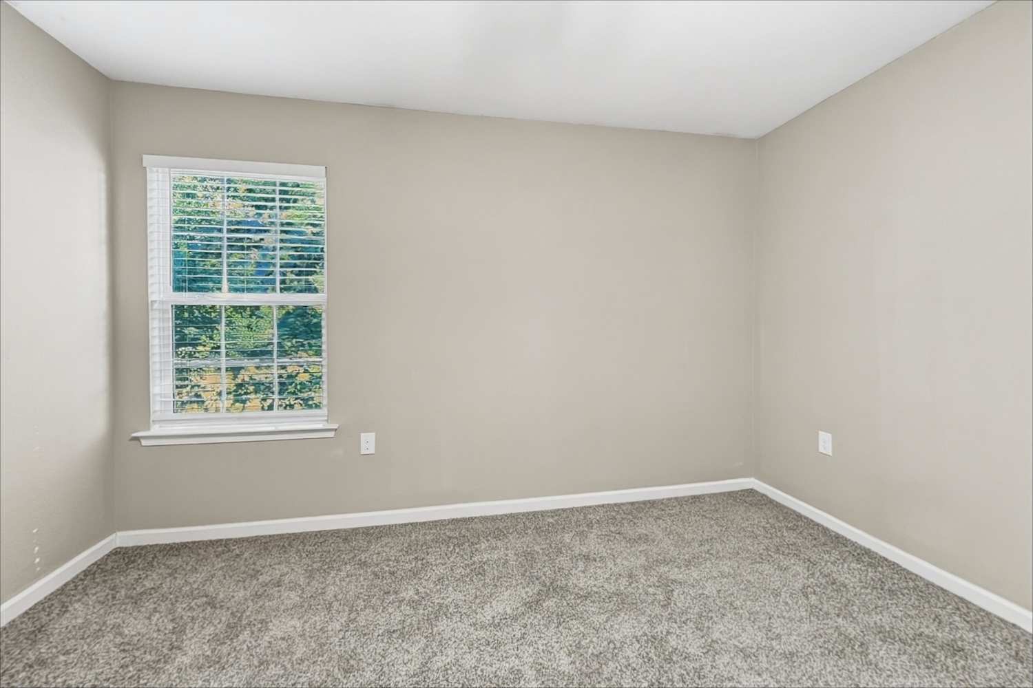 4924 Broad Leaf Ct, Dallas photo 19