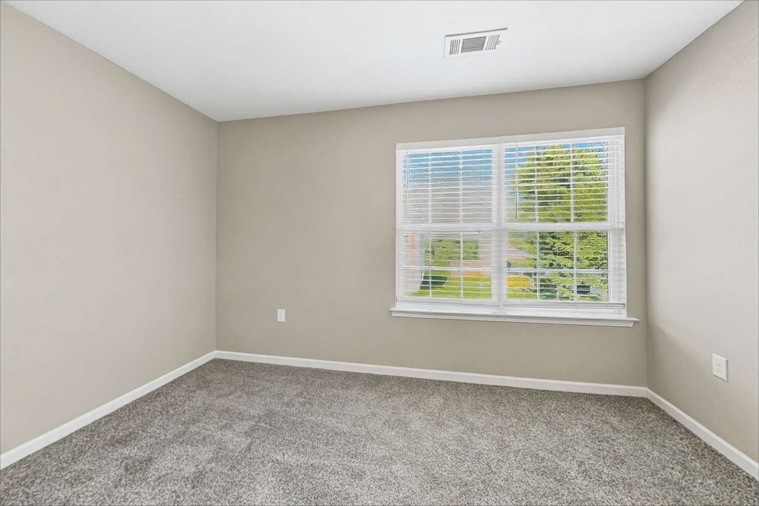 4924 Broad Leaf Ct, Dallas photo 14