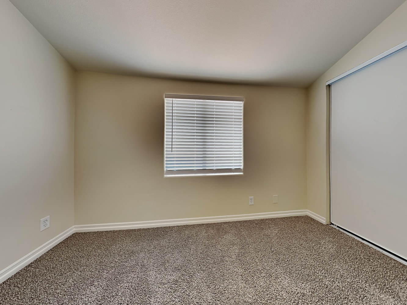 508 Thrush Dr, Las Vegas photo 14