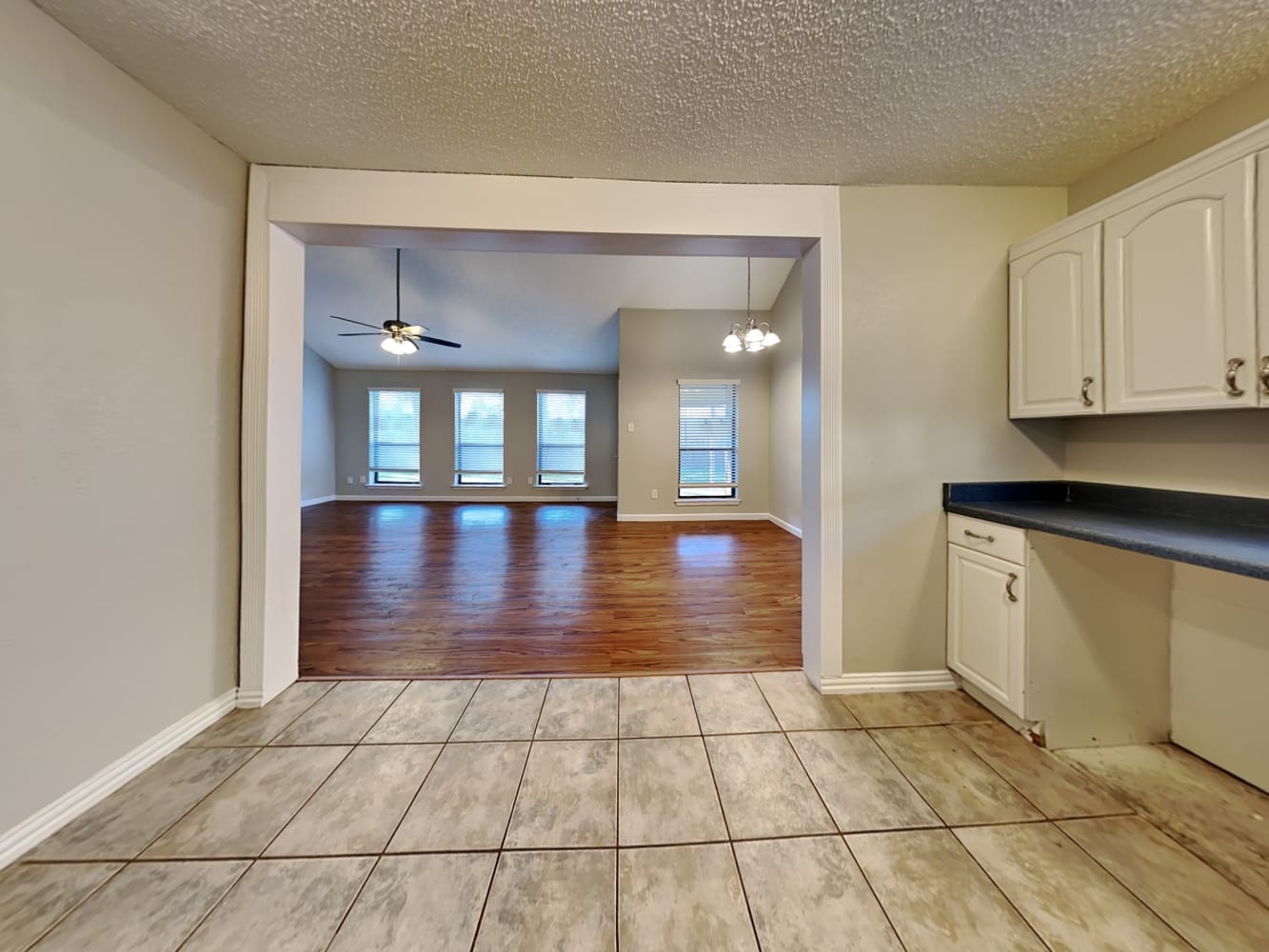 519 Thomas, Seagoville photo 8