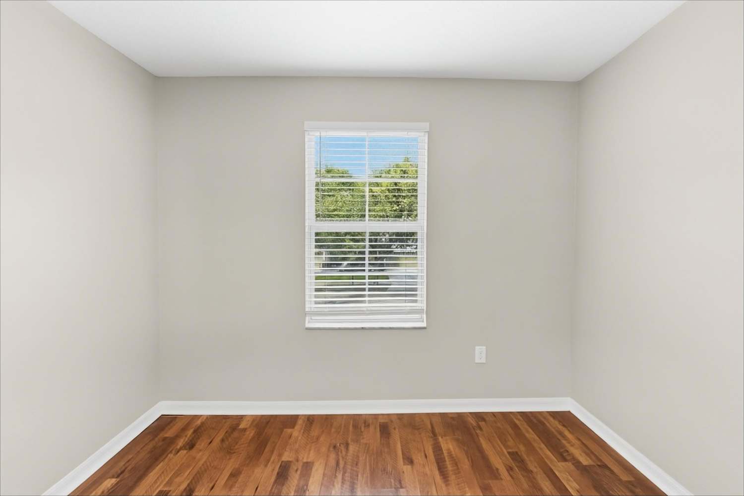 5216 Bannister Park Ln, Lithia photo 10
