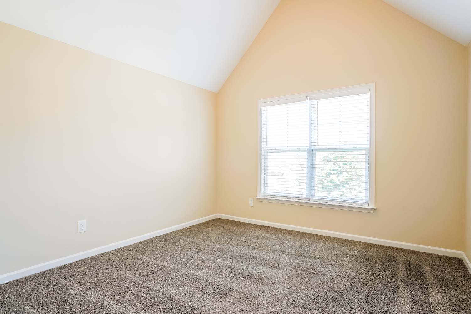 5232 Sapphire Springs Dr, Knightdale photo 15