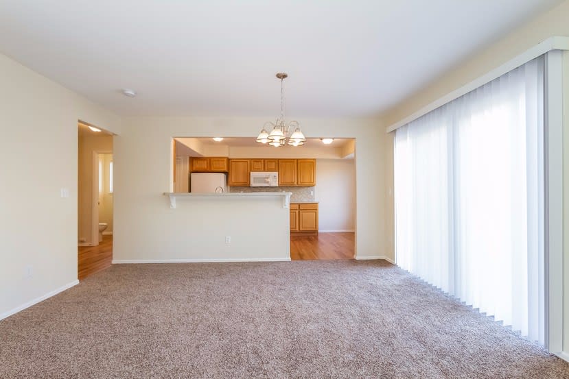 524 Fox Run Cir, Colorado Springs photo 8