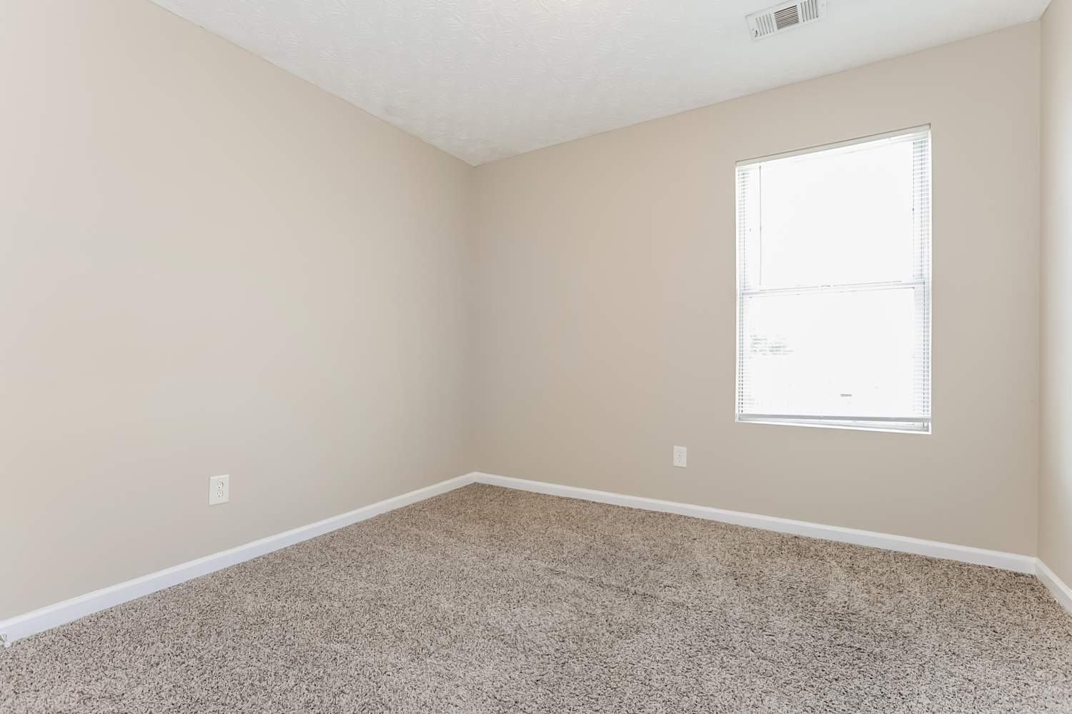 5285 Tussahaw Xing, McDonough photo 10