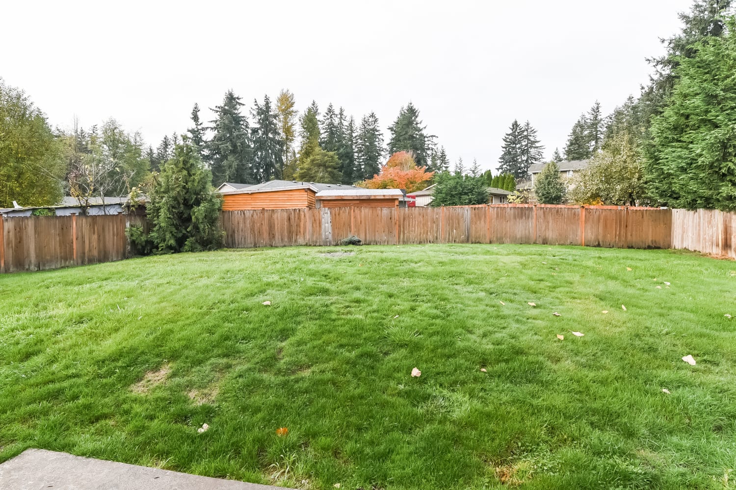 5412 193rd Ave E, Lake Tapps photo 20