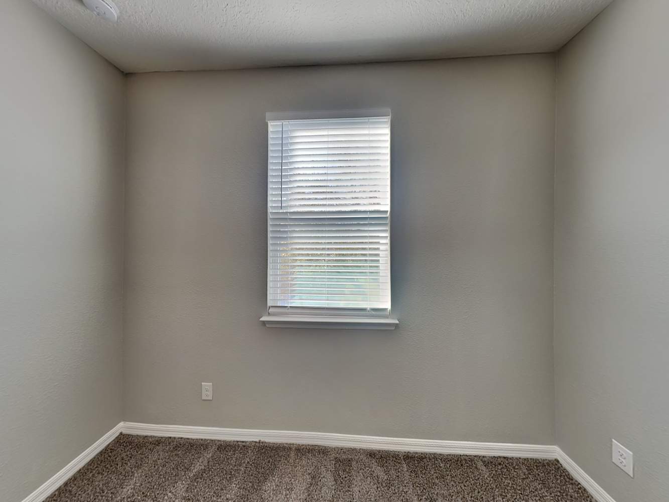 561 Fortanini Cir, Ocoee photo 13