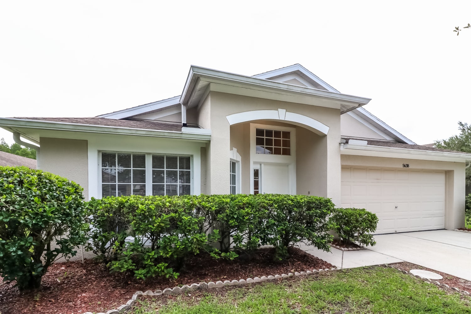 Front of 5638 War Admiral Dr, Wesley Chapel, FL