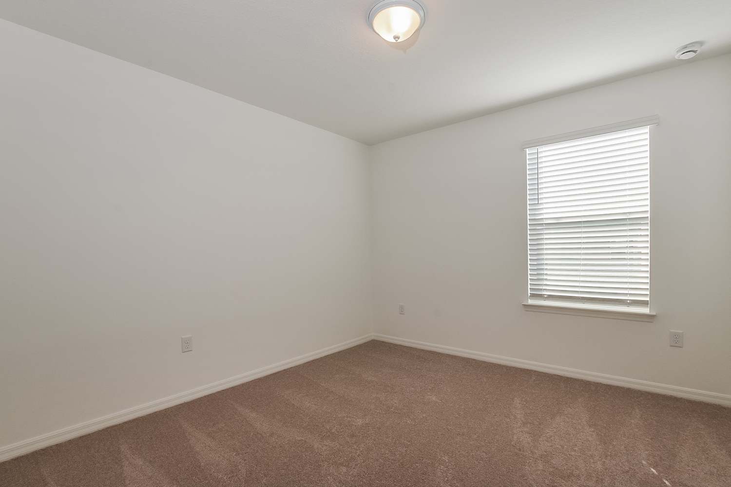 5684 Swaying Blossom Alley, Clermont photo 16