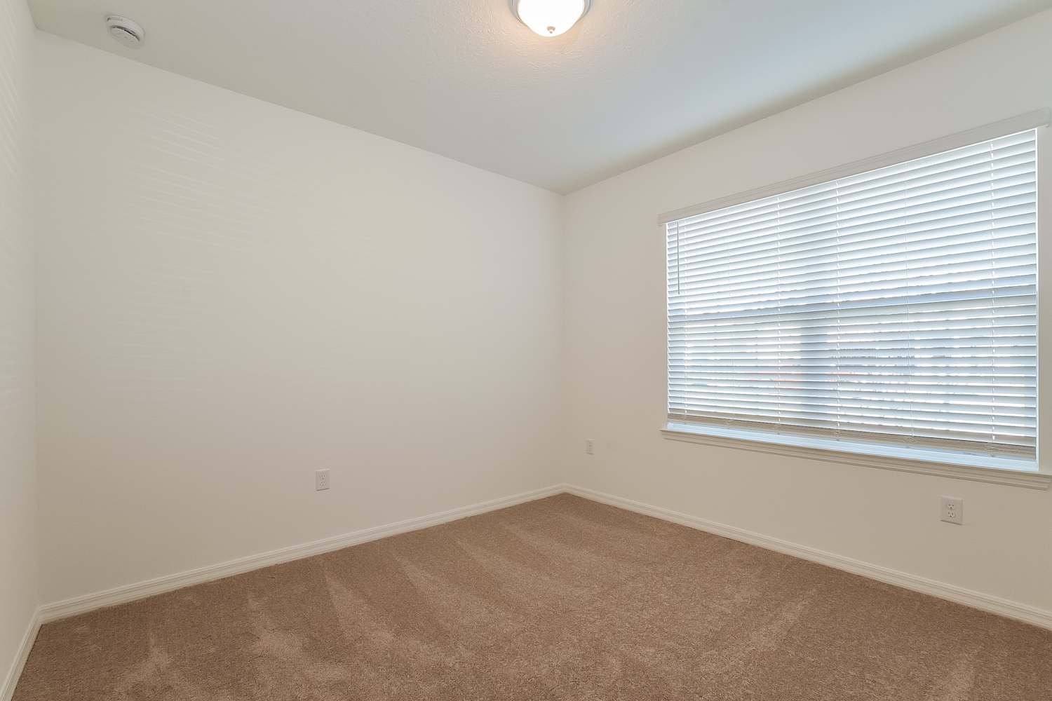 5684 Swaying Blossom Alley, Clermont photo 17