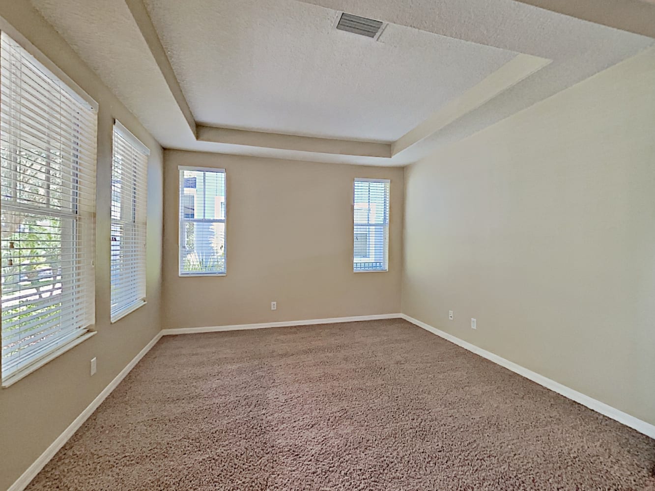 5918 Palmettoside St, Lithia photo 10