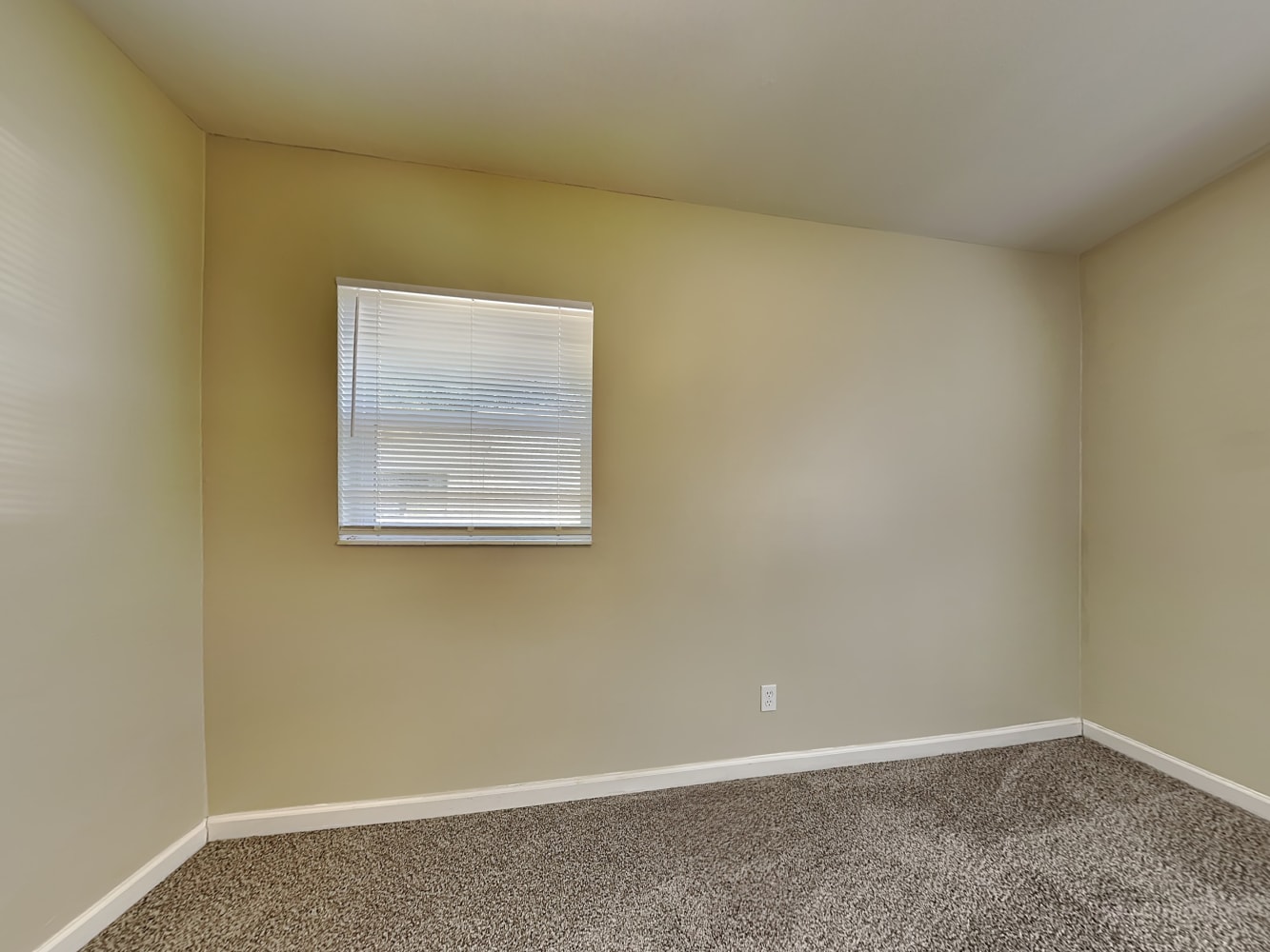 6006 El Dorado Dr, Tampa photo 14