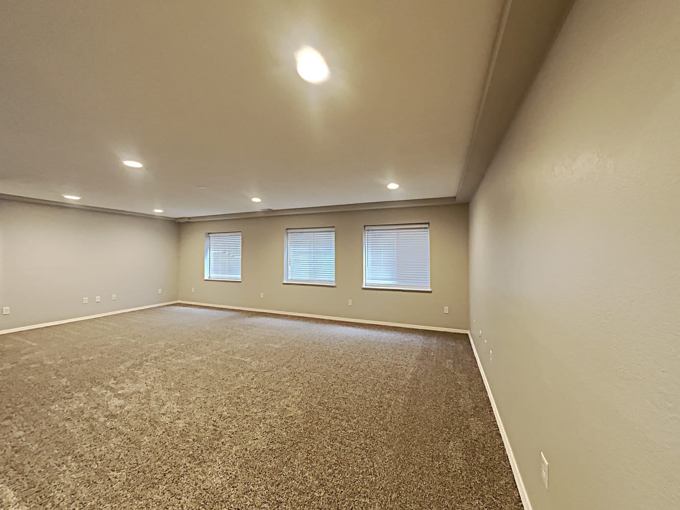 6025 Fossil Dr, Colorado Springs photo 10