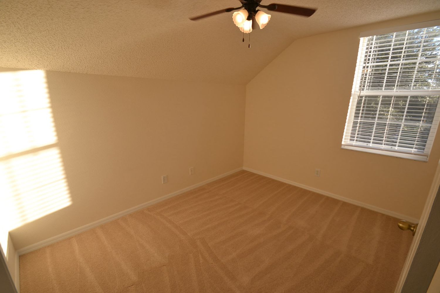 607 Cape Cod Cir, Valrico photo 8