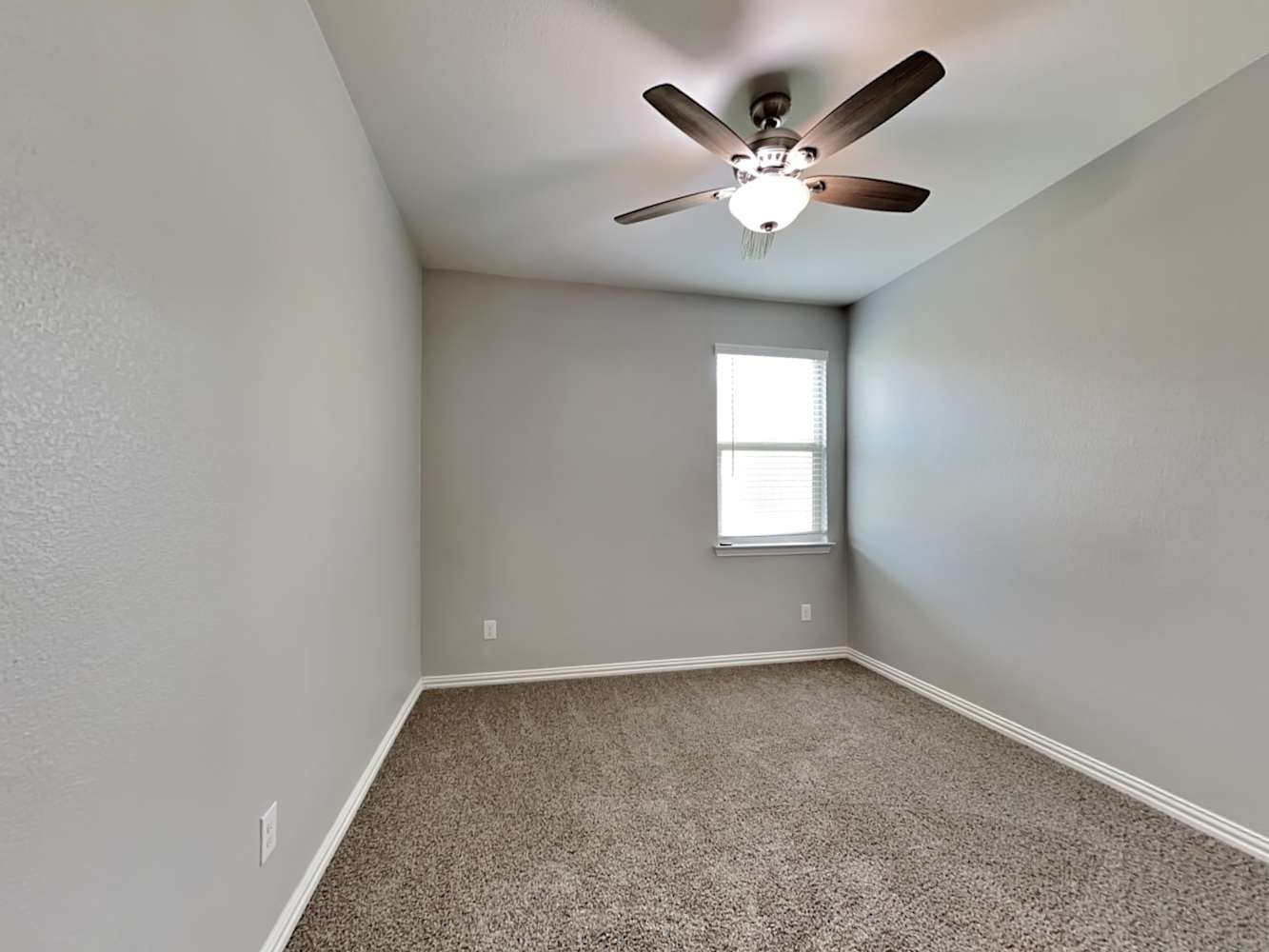 608 Ridgeback Trl, Haslet photo 12