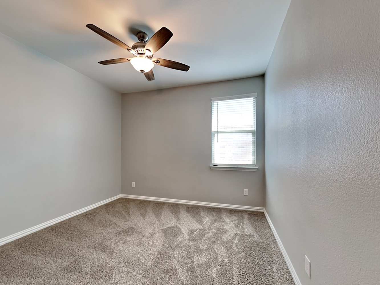 608 Ridgeback Trl, Haslet photo 15