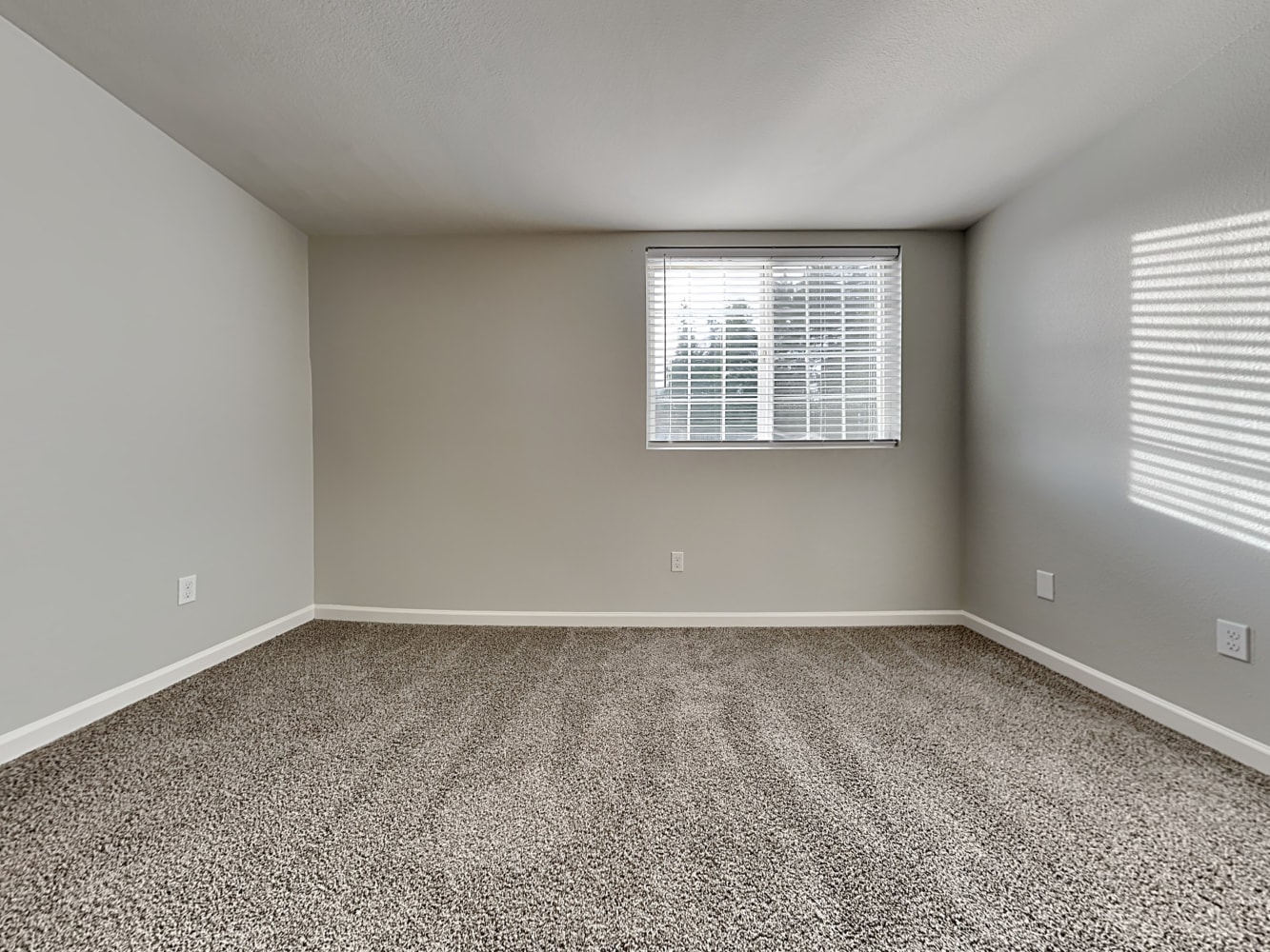6102 Carmel Ln SE, Lacey photo 13