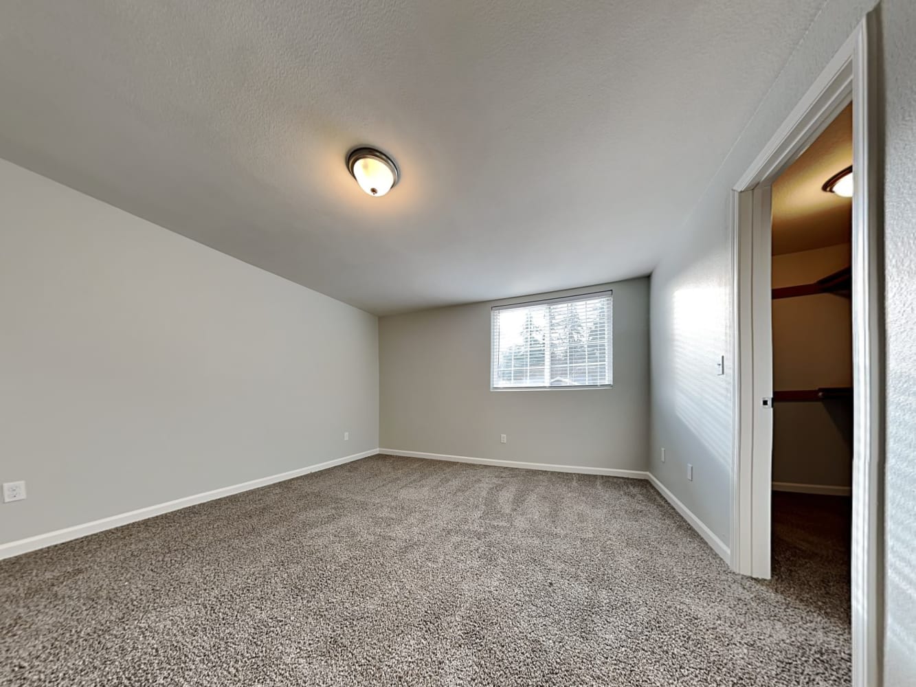 6102 Carmel Ln SE, Lacey photo 12