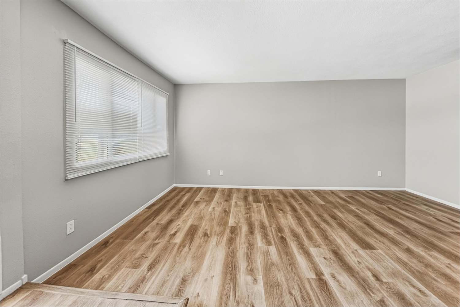 617 E Carmen St, Tempe photo 6