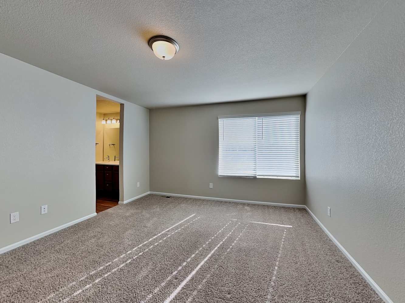 6236 Big Bird Dr, Colorado Springs photo 12