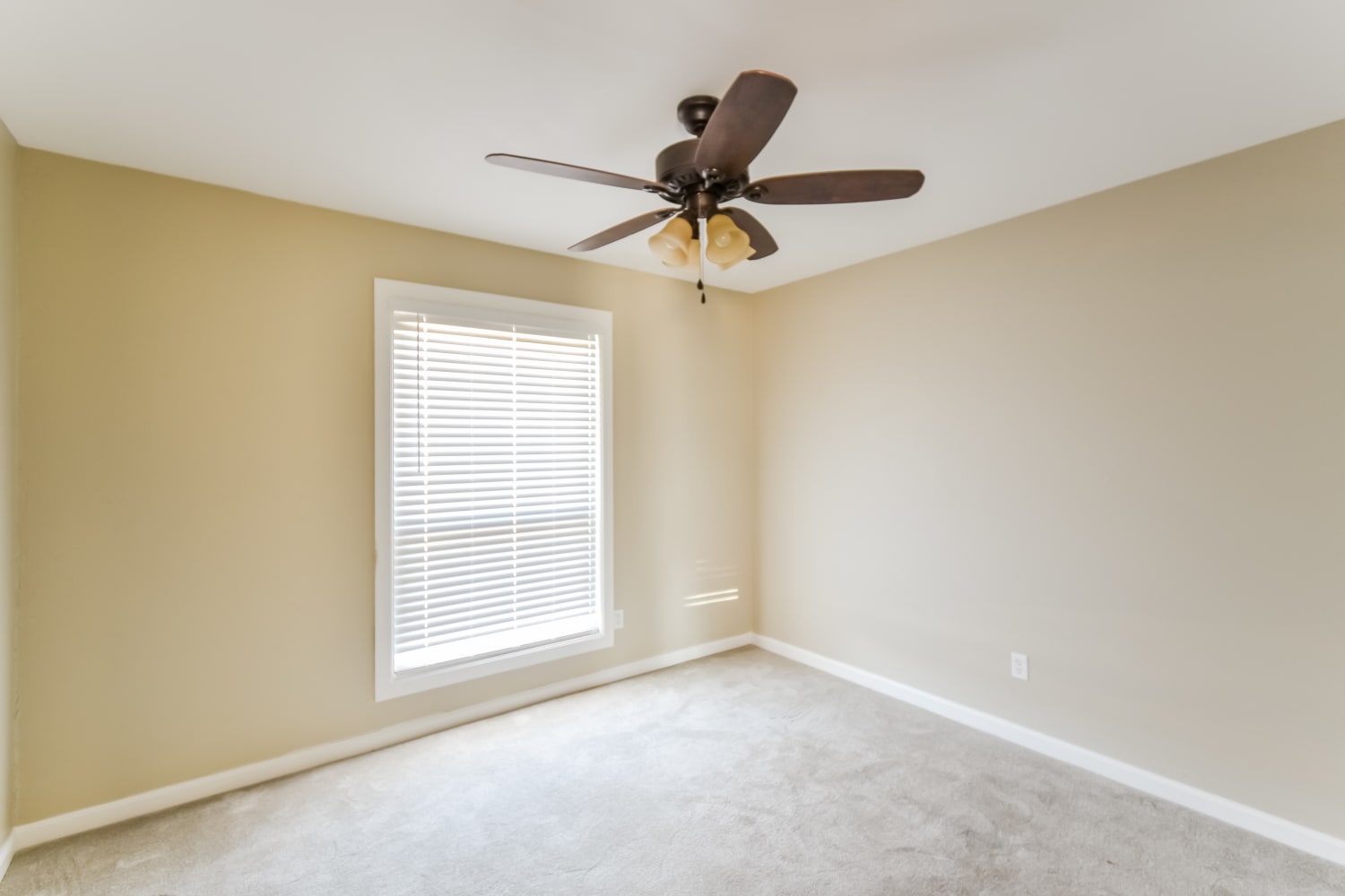 637 Barkridge, Burleson photo 9