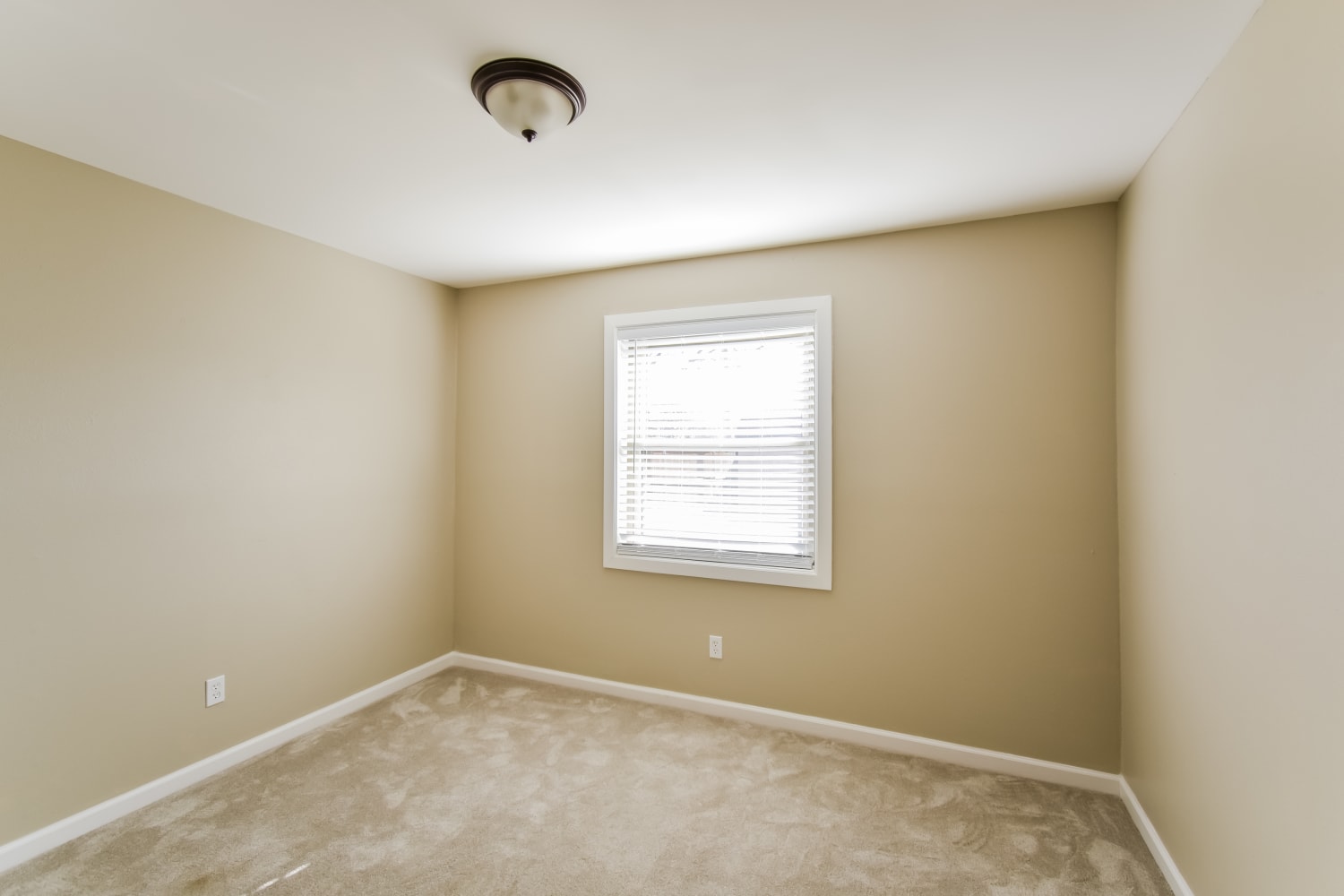 637 Barkridge, Burleson photo 10
