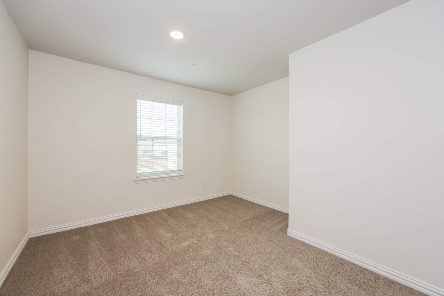 6406 Blue Trl, Arlington photo 13