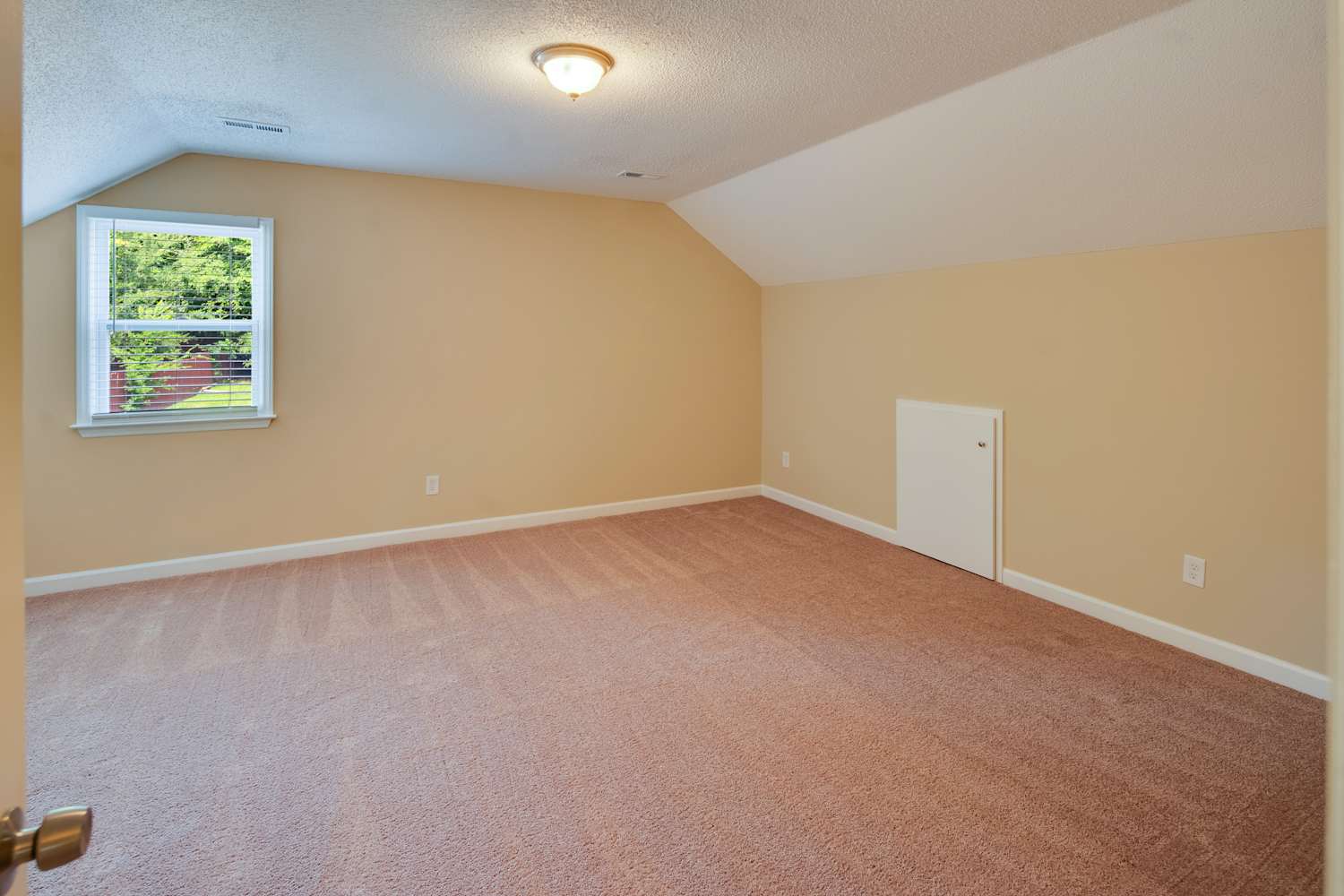 6541 Dougherty Dr, Charlotte photo 26