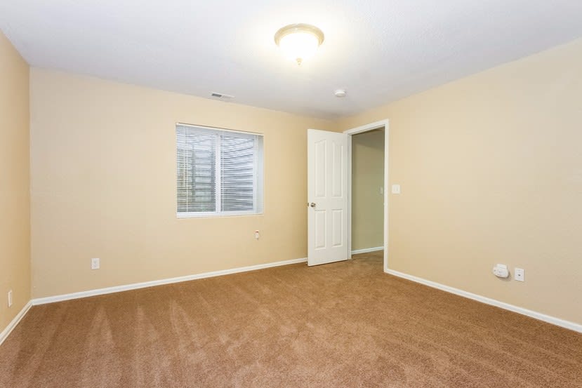 6594 Harvey Ln, Colorado Springs photo 17