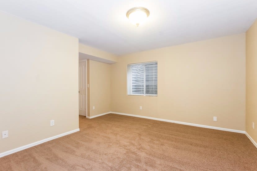 6594 Harvey Ln, Colorado Springs photo 13