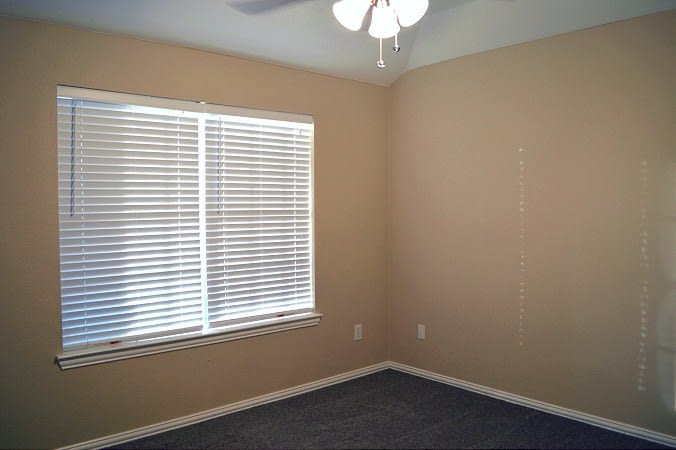 6594 Scottsdale Way, Frisco photo 14