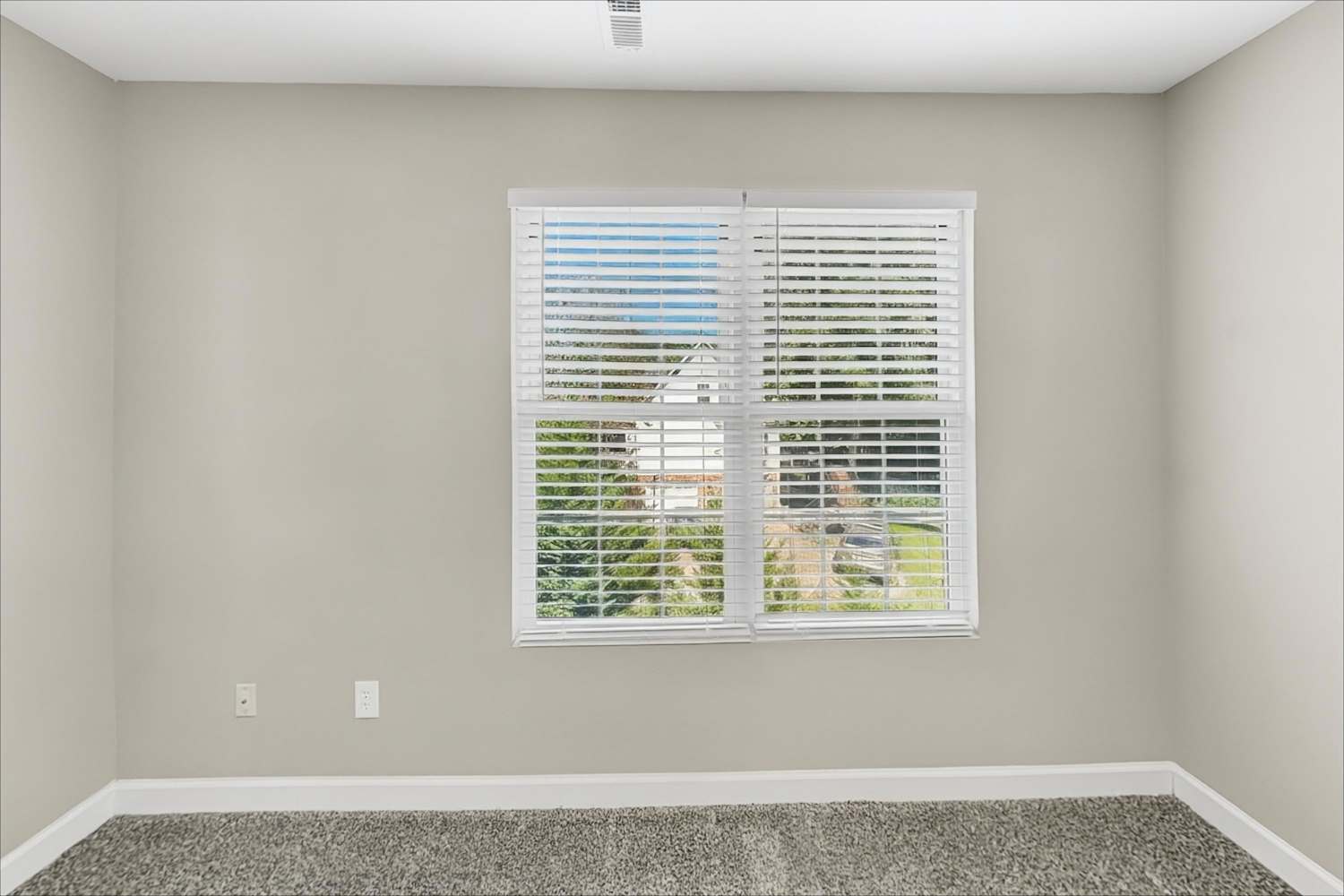 6984 Forest Manor Dr, Denver photo 18