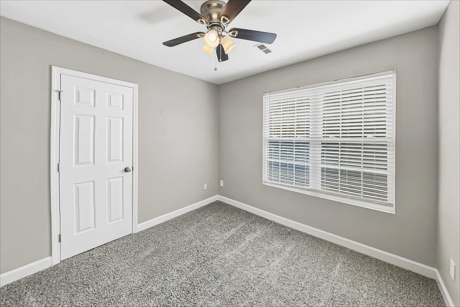 6984 Forest Manor Dr, Denver photo 16