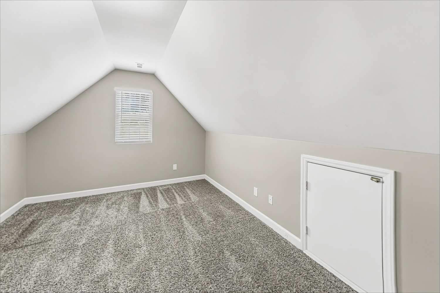 6984 Forest Manor Dr, Denver photo 19