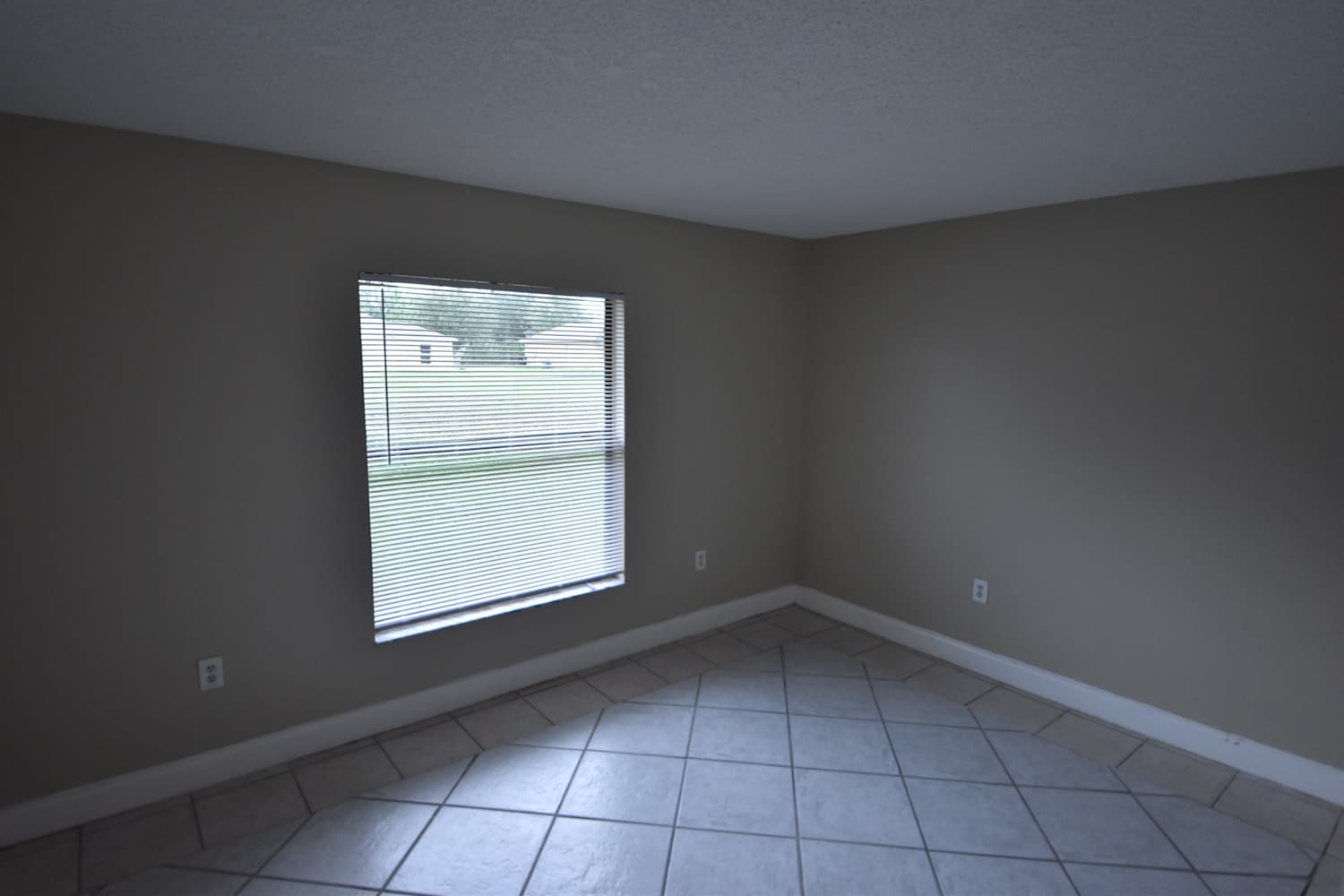 714 Hamster Ct, Kissimmee photo 10