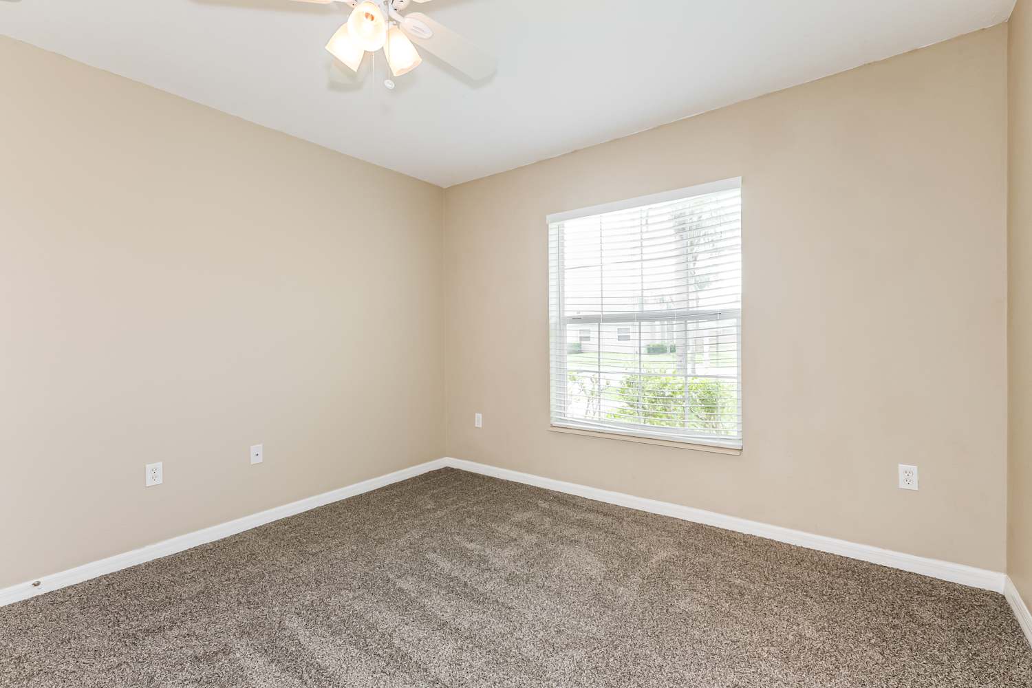 7205 Royal George Ct, Zephyrhills photo 13