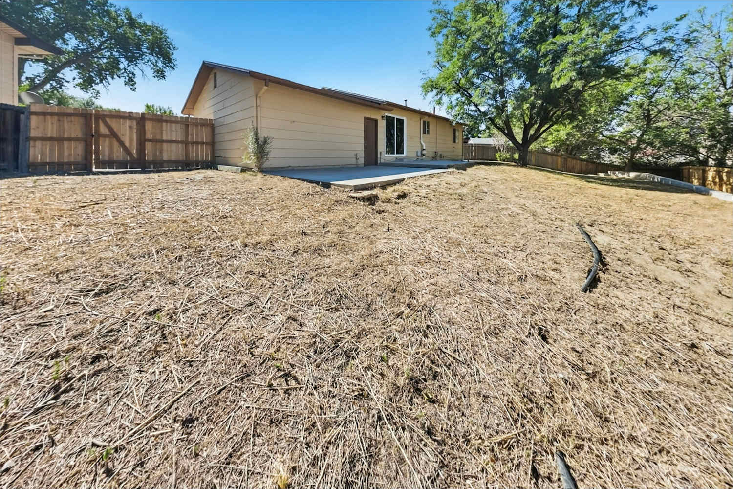 7210 Shavano Ct, Colorado Springs photo 21