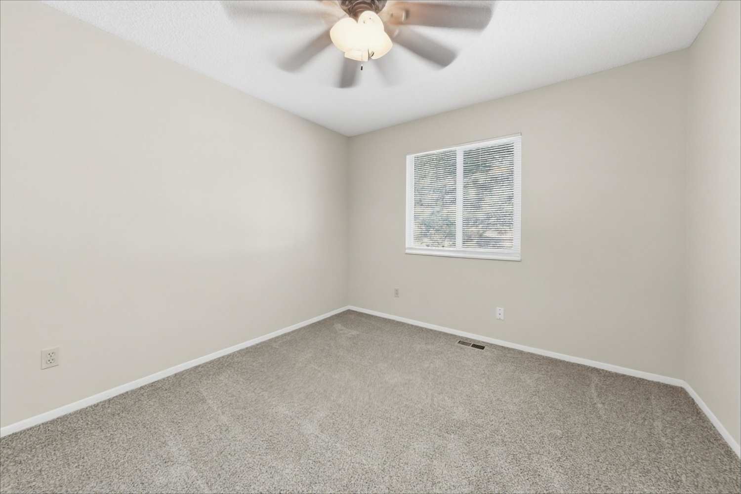 7210 Shavano Ct, Colorado Springs photo 9