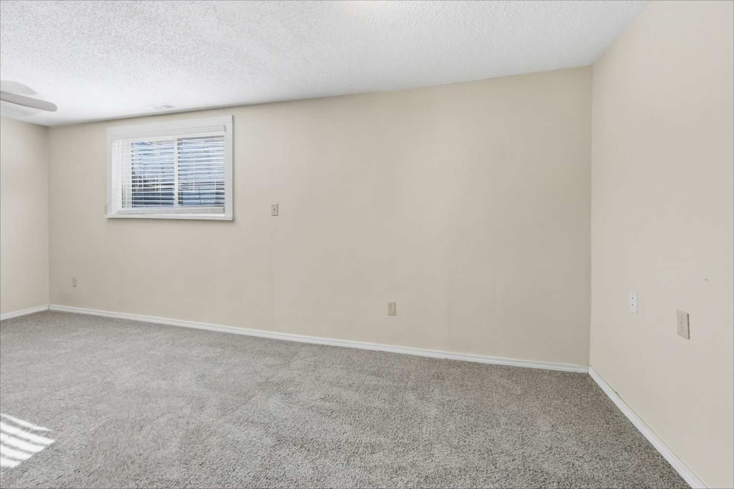 7210 Shavano Ct, Colorado Springs photo 16