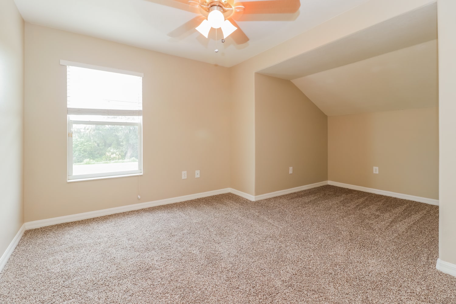 7232 53rd Pl E, Palmetto photo 11