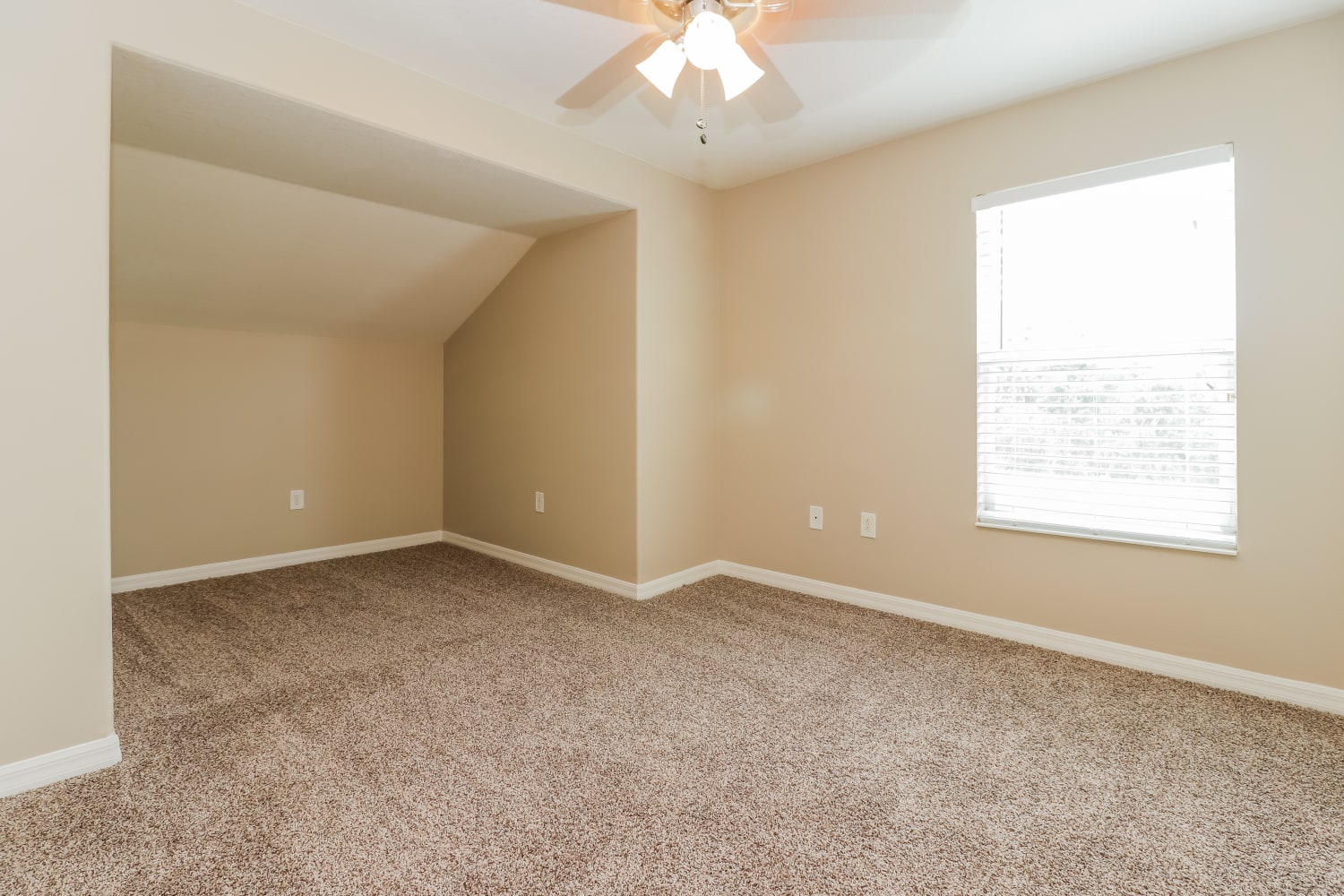 7232 53rd Pl E, Palmetto photo 12