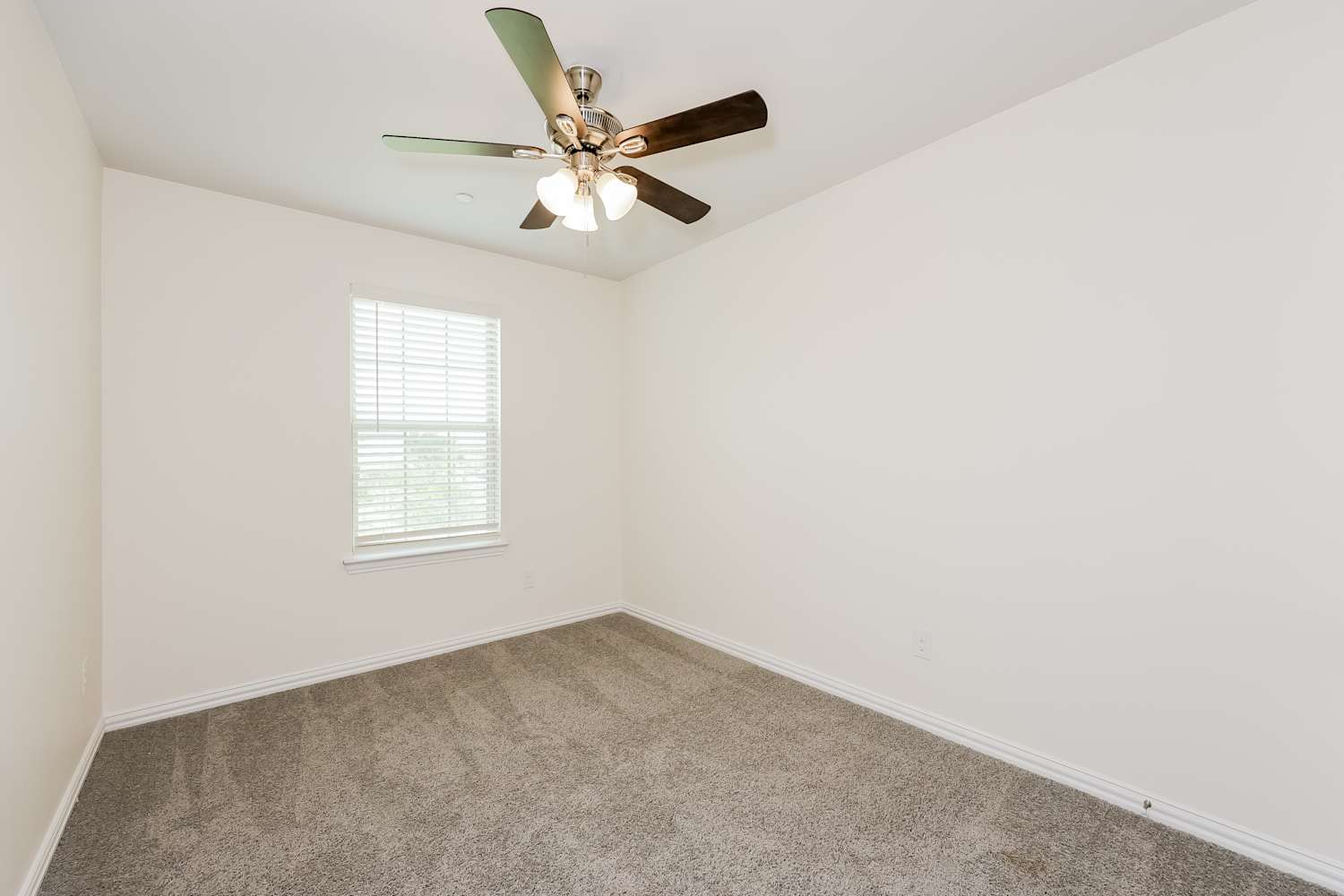 731 Bonnet Trl, Arlington photo 10